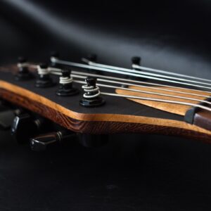 Detail picture of the headstock