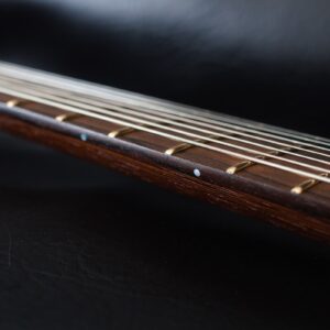 Side view of the guitar neck